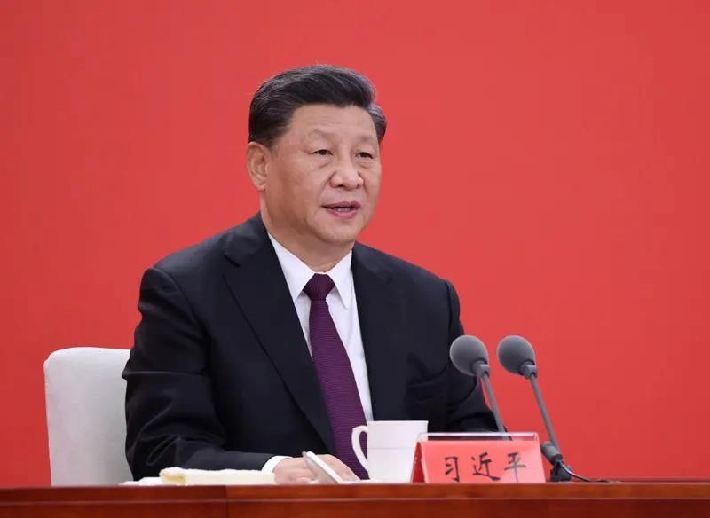 一棵樹、一塊石、一個村，從總書記的深圳足跡看改革